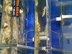 -雅逸居海鲜小厨