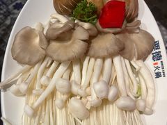 -要德火锅(泰隆商业街店)
