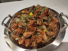 -常州环球恐龙城维景国际大酒店