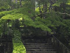 -三千院