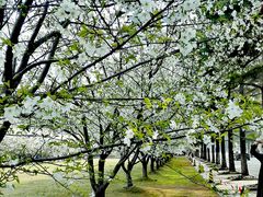 -同济大学(嘉定校区)