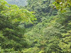 -西岭雪山大飞水景区