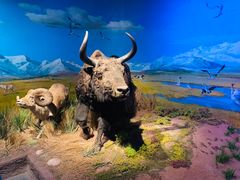 -武汉园博园(武汉自然博物馆)