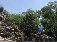 -紫金山山顶公园