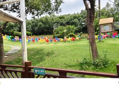 -泉州海丝野生动物世界