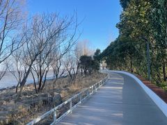 -上海吴淞炮台湾国家湿地公园