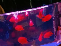 -湖庭壹品鸭王·传统北京烤鸭·别墅私房菜·庭院宵夜(江宁店)