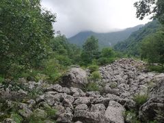 -陕西省红河谷森林公园