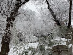 -终南山南五台景区