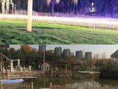 -前小桔亲子创意农场·草莓采摘·露营烧烤