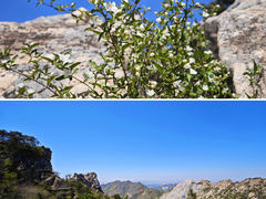 -沂蒙山旅游区龟蒙景区