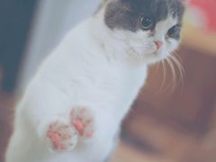 -默迹咖啡馆