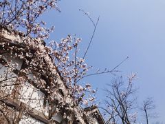 -昌州古城