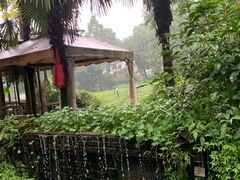 -野蔓果·山野菜(西湖景区·龙井茶田店)