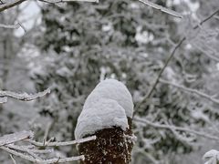 -龙苍沟森林公园