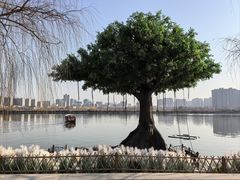 -咸阳湖景区