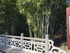 景点-广东温泉宾馆