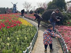 -铁山坪森林公园