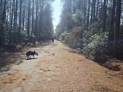 -上海海湾国家森林公园