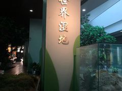 -中国湿地博物馆