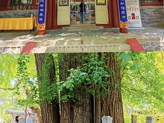 -潭柘寺景区