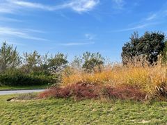 -汉长安城未央宫国家考古遗址公园