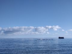 -青海湖二郎剑景区