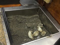 -叶氏麻糍(鼓浪屿店)