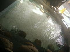 -御池园(顾村公园店)