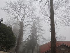 -莫干山风景区