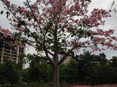 -清远熹乐谷温泉度假酒店