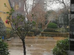 -圆通寺
