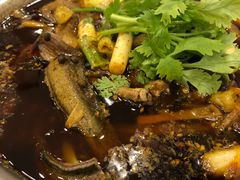 -高坎一品甲鱼庄(两河店)