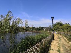 -坪山湿地公园