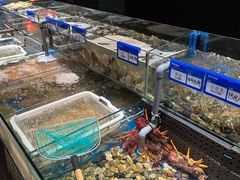-东宴(温岭店)