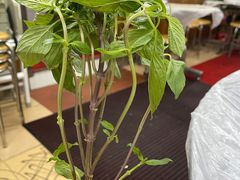 -师傅仔美食(东华老店)