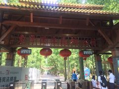 -东平国家森林公园