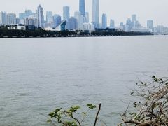 -珠江夜游广州塔·中大码头