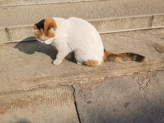 -王府井天主教堂
