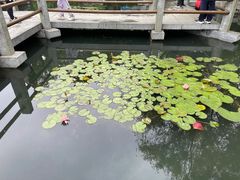 -武汉园博园(武汉自然博物馆)