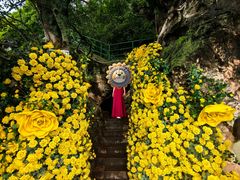 -抚仙湖禄充风景区