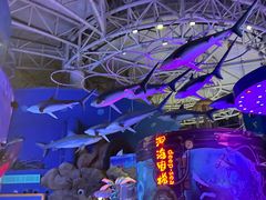 -烟台海昌鲸鲨海洋公园