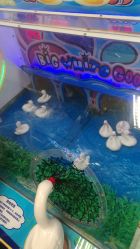 -莫莉幻想(银盆岭万达广场店)