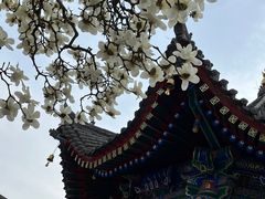 -西安市广仁寺