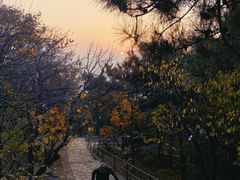 -香山公园