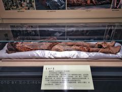 -巴音郭楞蒙古自治州博物馆