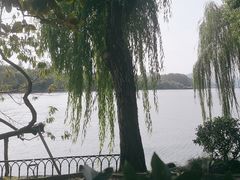-西湖天地