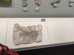 -辽宁古生物博物馆