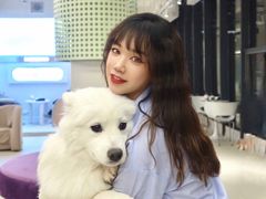 -怪兽屋·羊驼·猫咖·狗咖(俊华广场店)