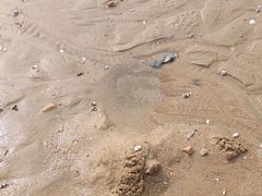 -辽宁团山国家级海洋公园